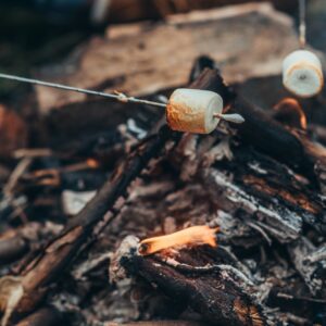 marshmallows-on-a-stick-above-camp-fire-1.jpg